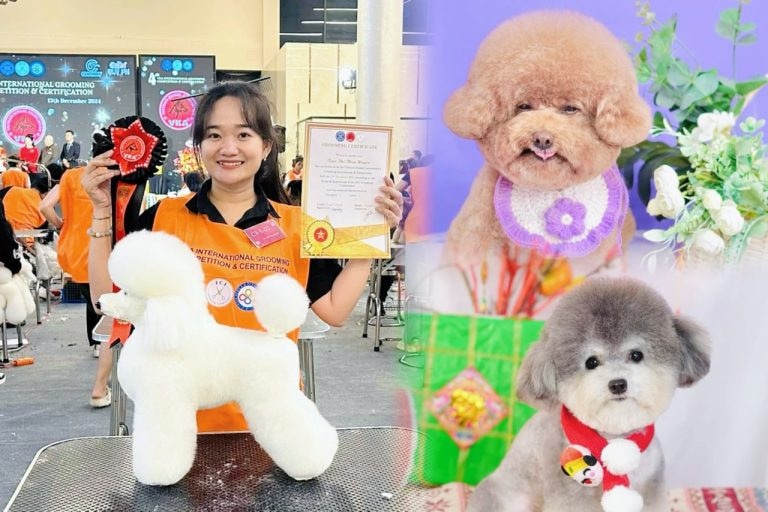 huyền trần bamin pet
