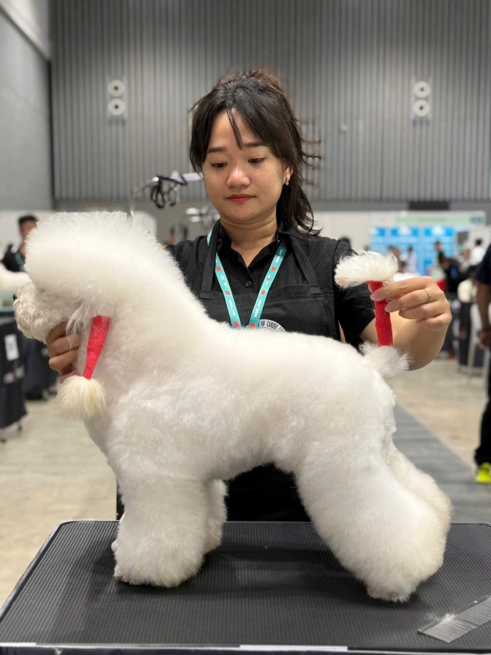 huyền-trần-bamin-pet-1