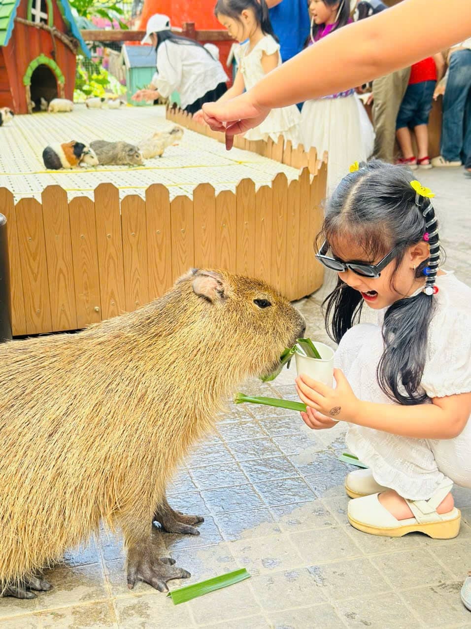 Mẫu nhí Thảo Vy