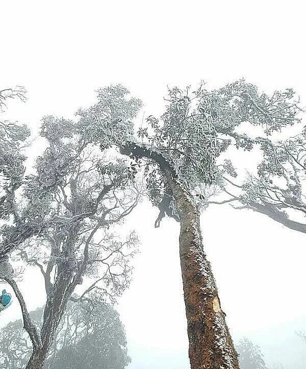 Băng tuyết xuất hiện ở Tà Xùa