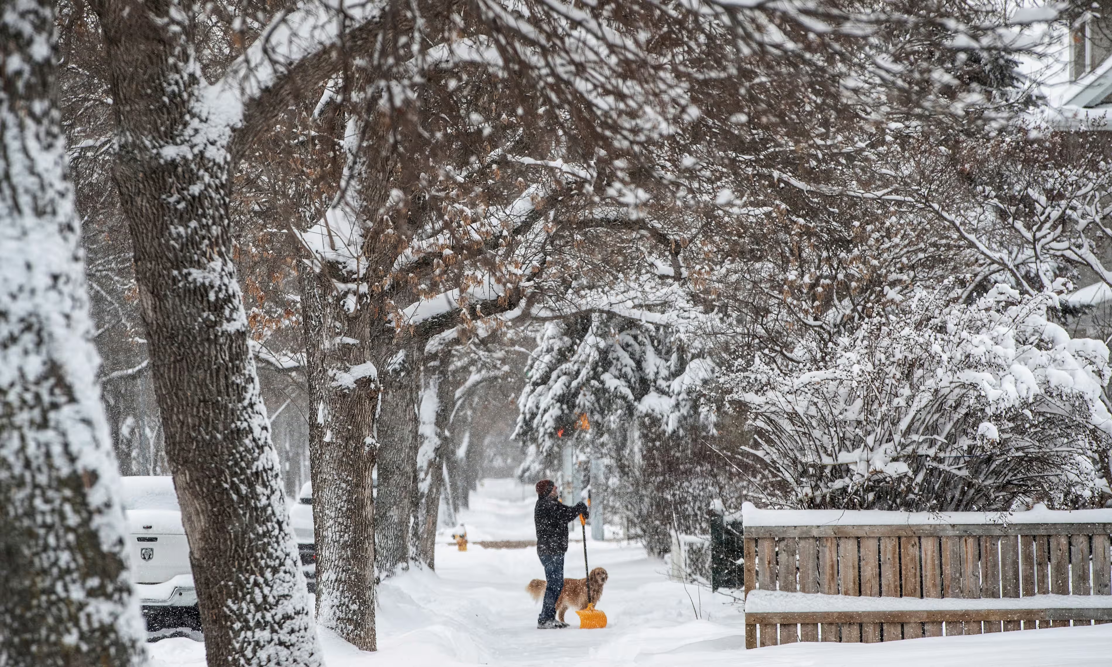 bao-bang-canada-saoviet247