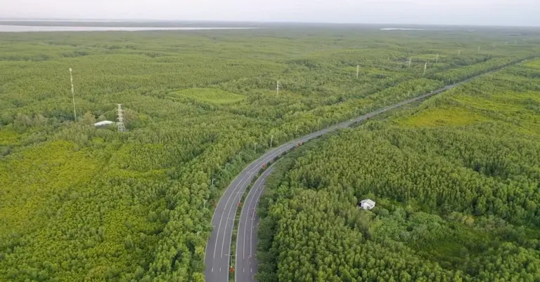 Vingroup trình phương án làm metro hơn 4 tỷ USD nối quận 7 – Cần Giờ