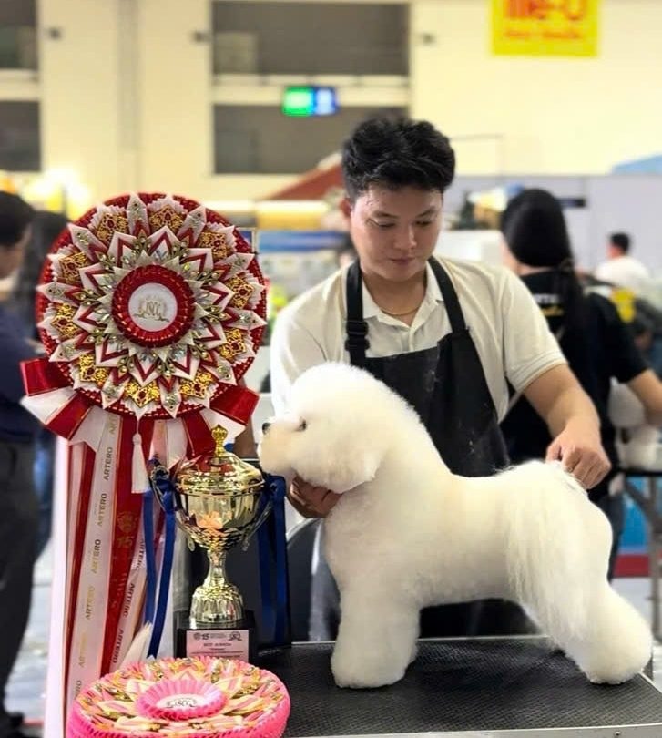 Võ Văn Việt